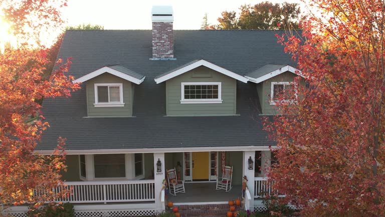 Best Gutter Installation and Repair  in North Aurora, IL