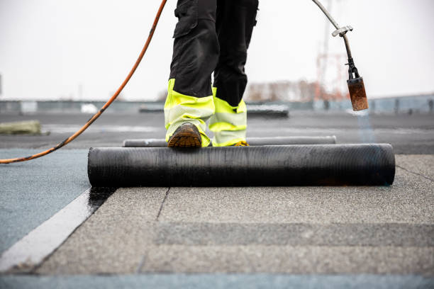 Best Rubber Roofing (EPDM, TPO)  in North Aurora, IL